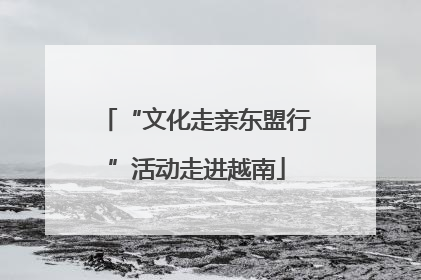 “文化走亲东盟行”活动走进越南