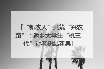 “新农人”共筑“兴农路”：返乡大学生“桃三代”让老树结新果