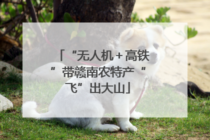 “无人机＋高铁”带赣南农特产“飞”出大山