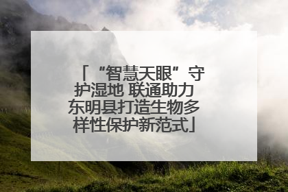 “智慧天眼”守护湿地 联通助力东明县打造生物多样性保护新范式