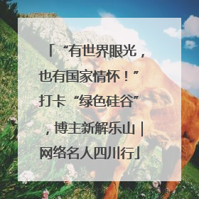 “有世界眼光，也有国家情怀！”打卡“绿色硅谷”，博主新解乐山｜网络名人四川行