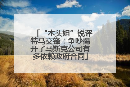 “木头姐”锐评特马交锋：争吵揭开了马斯克公司有多依赖政府合同