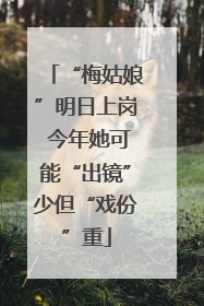 “梅姑娘”明日上岗 今年她可能“出镜”少但“戏份”重