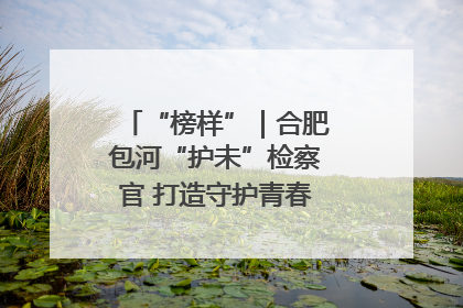“榜样”｜合肥包河“护未”检察官 打造守护青春成长的永恒灯塔