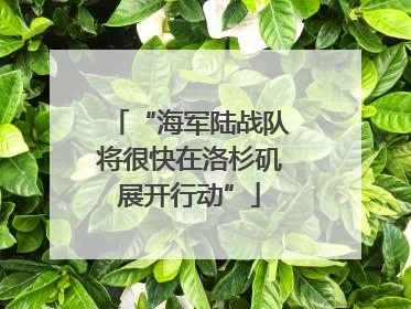 “海军陆战队将很快在洛杉矶展开行动”