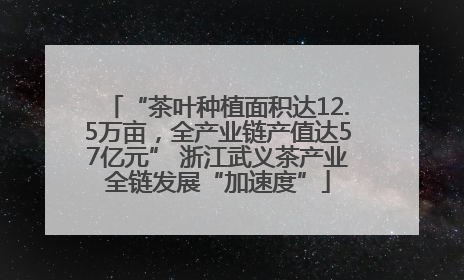 “茶叶种植面积达12.5万亩，全产业链产值达57亿元” 浙江武义茶产业全链发展“加速度”