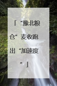 “豫北粮仓”麦收跑出“加速度”