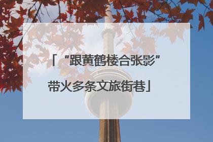 “跟黄鹤楼合张影”带火多条文旅街巷