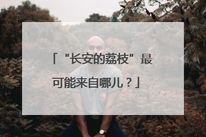 “长安的荔枝”最可能来自哪儿？
