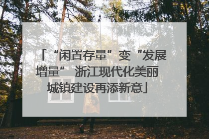 “闲置存量”变“发展增量” 浙江现代化美丽城镇建设再添新意