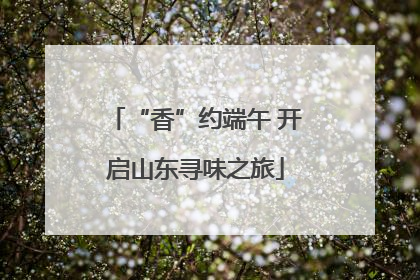 “香”约端午 开启山东寻味之旅