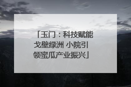 玉门：科技赋能戈壁绿洲 小院引领蜜瓜产业振兴