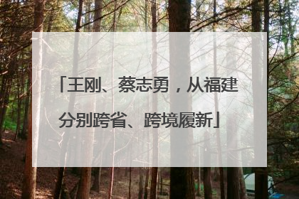王刚、蔡志勇，从福建分别跨省、跨境履新