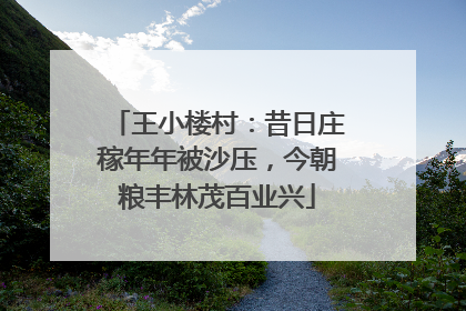 王小楼村：昔日庄稼年年被沙压，今朝粮丰林茂百业兴