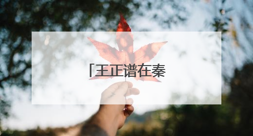 王正谱在秦皇岛市调研