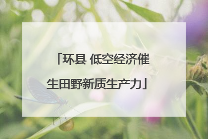 环县 低空经济催生田野新质生产力