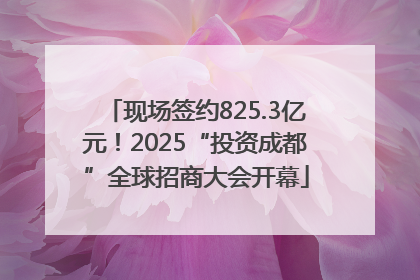 现场签约825.3亿元！2025“投资成都”全球招商大会开幕