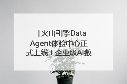 火山引擎Data Agent体验中心正式上线！企业级AI数据专家触手可及