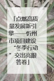点燃高质量发展新引擎——忻州市项目建设“冬季行动”交出亮眼答卷