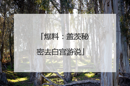 爆料：盖茨秘密去白宫游说