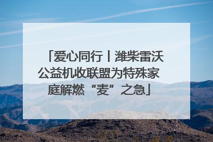爱心同行丨潍柴雷沃公益机收联盟为特殊家庭解燃“麦”之急