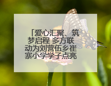 爱心汇聚、筑梦启程 多方联动为刘营伍乡崔寨小学学子点亮成长之路