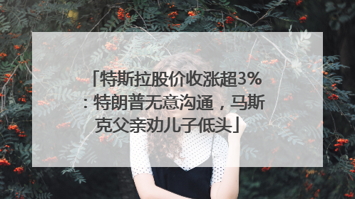 特斯拉股价收涨超3%：特朗普无意沟通，马斯克父亲劝儿子低头
