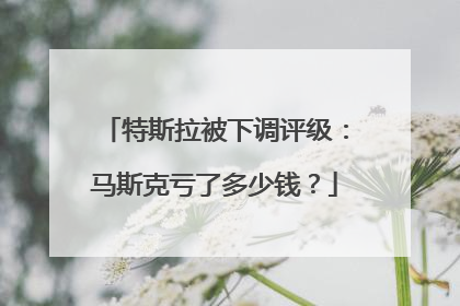 特斯拉被下调评级：马斯克亏了多少钱？