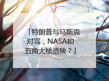 特朗普与马斯克对骂，NASA和五角大楼遭殃？