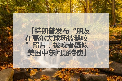 特朗普发布“朋友在高尔夫球场被鹅咬”照片，被咬者疑似美国中东问题特使