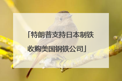 特朗普支持日本制铁收购美国钢铁公司