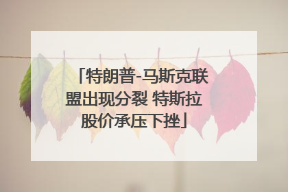 特朗普-马斯克联盟出现分裂 特斯拉股价承压下挫