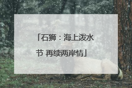 石狮：海上泼水节 再续两岸情