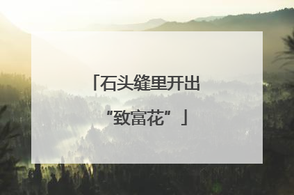 石头缝里开出“致富花”
