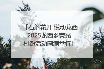 石斛花开 悦动龙西 2025龙西乡荧光村跑活动圆满举行