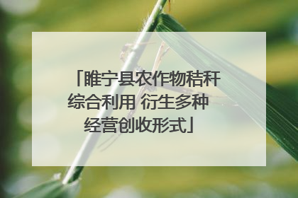 睢宁县农作物秸秆综合利用 衍生多种经营创收形式
