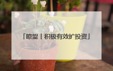 瞭望丨积极有效扩投资