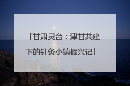 甘肃灵台：津甘共建下的针灸小镇振兴记