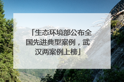 生态环境部公布全国先进典型案例，武汉两案例上榜