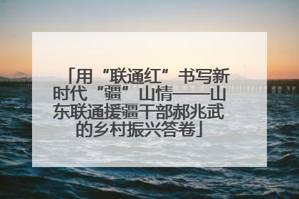 用“联通红”书写新时代“疆”山情——山东联通援疆干部郝兆武的乡村振兴答卷