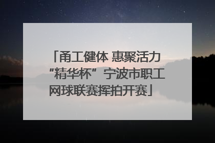 甬工健体 惠聚活力“精华杯”宁波市职工网球联赛挥拍开赛