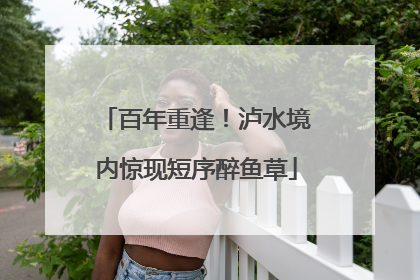 百年重逢！泸水境内惊现短序醉鱼草