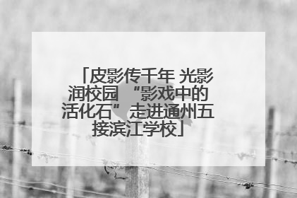 皮影传千年 光影润校园 “影戏中的活化石”走进通州五接滨江学校