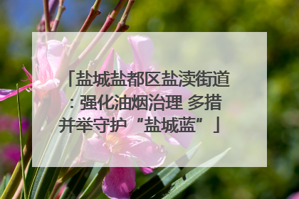 盐城盐都区盐渎街道：强化油烟治理 多措并举守护“盐城蓝”