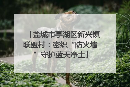 盐城市亭湖区新兴镇联盟村：密织“防火墙”守护蓝天净土