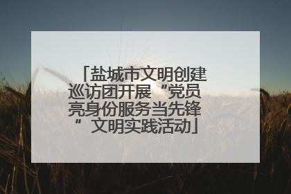 盐城市文明创建巡访团开展“党员亮身份服务当先锋”文明实践活动