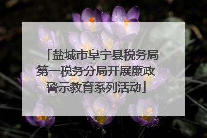 盐城市阜宁县税务局第一税务分局开展廉政警示教育系列活动