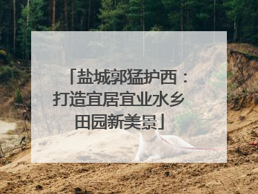 盐城郭猛护西：打造宜居宜业水乡田园新美景