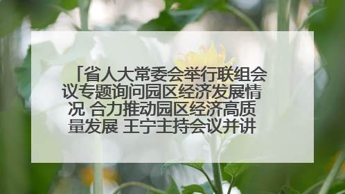省人大常委会举行联组会议专题询问园区经济发展情况 合力推动园区经济高质量发展 王宁主持会议并讲话 王予波带队到会应询
