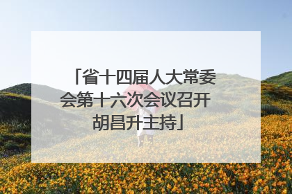 省十四届人大常委会第十六次会议召开 胡昌升主持